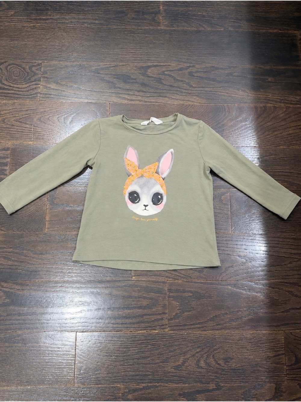 H&M Kids Long-Sleeve Bunny Graphic Tee - Olive Green